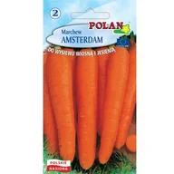 Nasiona i cebule - Marchew Amsterdam Polan - miniaturka - grafika 1