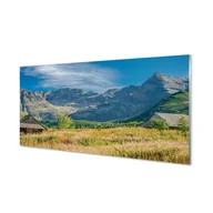 Tablice i flipcharty - Panel szklany foto grafika Góry pola domki 120x60 - miniaturka - grafika 1