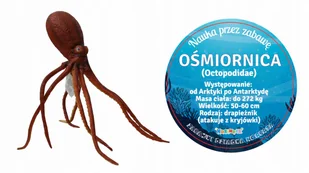 Ośmiornica 49 Cm Długości - Zabawki interaktywne dla dzieci - miniaturka - grafika 1