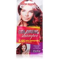Farby do włosów i szampony koloryzujące - DELIA Cosmetics Cameleo Szampon koloryzujący 6.65 Owoc Granatu 40ml - miniaturka - grafika 1