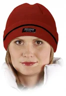 Odzież robocza - Czapka zimowa Reis CZBAW-THINSUL C 57-61 - miniaturka - grafika 1