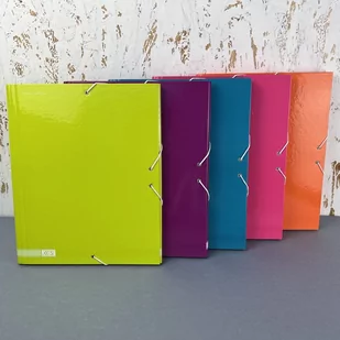 Teczka Box A4+ Fashion Colors 320X265X40 Regulowana - Teczki i skoroszyty - miniaturka - grafika 1