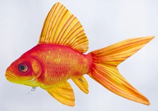 Maskotka Ryba Złota Rybka - 45cm - Maskotki i pluszaki - miniaturka - grafika 1