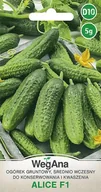 Nasiona i cebule - Ogórek konserwowy gruntowy Alice F1 5g nasiona - WegAna - miniaturka - grafika 1