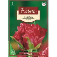 Nasiona i cebule - Tulipan Double Late Double Viri 5 sztuk Eden - miniaturka - grafika 1