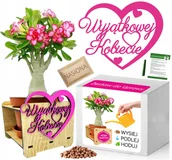 Nasiona i cebule - PREZENT Dzień Kobiet Zestaw do uprawy RÓŻA PUSTYNI - miniaturka - grafika 1