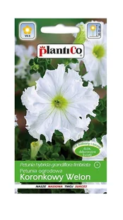 Petunia ogrodowa Koronkowy Welon 0,05 g Plantico - Nasiona i cebule - miniaturka - grafika 1