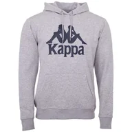 Bluzy męskie - Kappa, Bluza męska z kapturem Taino Regular Fit, 705322-18M, Rozmiar L, Szara - miniaturka - grafika 1