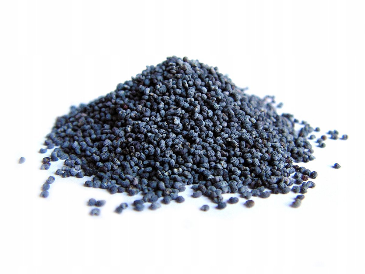 MAK niebieski ziarno nasiona maku 100 g - Aromatika