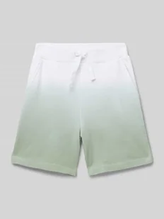 Szorty z dzianiny dresowej o kroju regular fit z wpuszczanymi kieszeniami model ‘HAKKI’ - Spodnie i spodenki dla chłopców - miniaturka - grafika 1