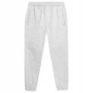 Spodnie męskie - 4F Spodnie Męskie Joggery Bawełniane Ttrom154 Xl - miniaturka - grafika 1