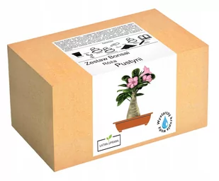 Zestaw do uprawy Bonsai Róża Pustyni Adenium Obesu - Nasiona i cebule - miniaturka - grafika 1