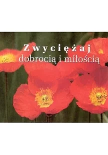Edycja Świętego Pawła praca zbiorowa Perełka 193. Zwyciężaj dobrocią i miłością - Aforyzmy i sentencje - miniaturka - grafika 2