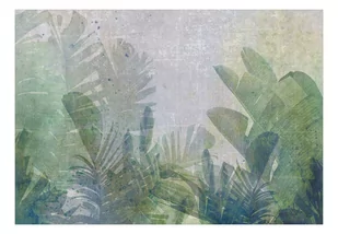 Fototapeta samoprzylepna - Bananowe pole (rozmiar 147x105) - Fototapety - miniaturka - grafika 1