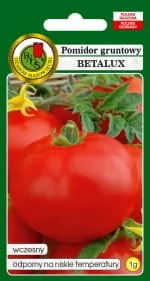 POMIDOR GRUNTOWY BETALUX NASIONA BEZ GMO - Nasiona i cebule - miniaturka - grafika 1