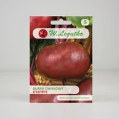 Nasiona i cebule - Burak ćwikłowy D'Egypte Czerwony 10g - Nasiona - W. Legutko - miniaturka - grafika 1
