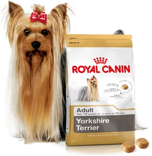 Royal Canin ROYAL CANIN Yorkshire Terrier Adult 7,5kg karma sucha dla psów dorosłych rasy yorkshire terrier - 4+1 PROMOCYJNE OPAKOWANIE - Mokra karma dla psów - miniaturka - grafika 1