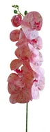 Sztuczne kwiaty - STORCZYK GAŁĄZKA GUMOWANY NAKRAPIANY 100CM - 24 SZT - miniaturka - grafika 1