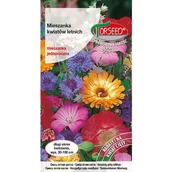 Nasiona i cebule - TORSEED nasiona MIESZANKA KWIATÓW LETNICH 5 G - miniaturka - grafika 1