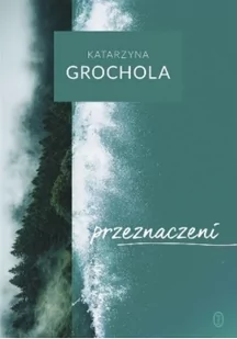 Wydawnictwo Literackie Przeznaczeni - Katarzyna Grochola - Literatura obyczajowa - miniaturka - grafika 2