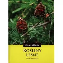 Rośliny leśne Leokadia Witkowska-Żuk - Rośliny i zwierzęta - miniaturka - grafika 1