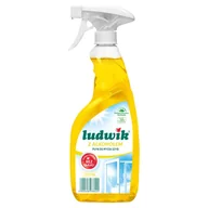 Woda - Płyn do mycia szyb LUDWIK Cytryna z alkoholem 600 ml - miniaturka - grafika 1