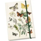 Pedagogika i dydaktyka - Notatnik ozdobny A5 STNOTE 85 Motyle Nowa - miniaturka - grafika 1