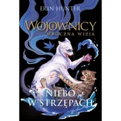 Fantasy - Niebo w strzępach. Wojownicy. Mroczna wizja - miniaturka - grafika 1