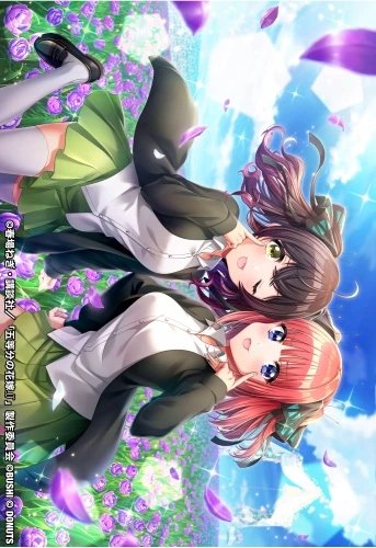Plakat Anime Manga D4DJ D4DJ_084 A1+ (custom)