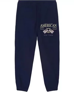 AMERICAN COLLEGE USA Spodnie dresowe męskie, Granatowy, L - Spodnie sportowe męskie - miniaturka - grafika 1