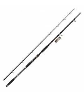 Wędki Jaxon Eclatis Cat Fish -500g 2,85 m - Wędki - miniaturka - grafika 1