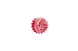 Sum Plast Piłka z kolcami 0 3,5cm 5901785370003 - Zabawki dla psów - miniaturka - grafika 1