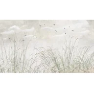 Tapety - Mural Green Grass zielone trawy 500 x 280 cm delikatna struktura - miniaturka - grafika 1