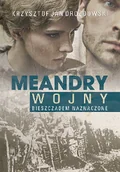 Powieści - Meandry wojny - Drozdowski Krzysztof Jan - miniaturka - grafika 1