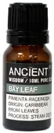 Aromaterapia - Olejek Eteryczny Liść Laurowy, Ancient Wisdom, 10ml - miniaturka - grafika 1