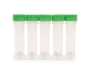 Probówka zielona (tkanki roślinne) 2ml DNase/RNase free zirconium opak. 100 szt. - Akcesoria do urządzeń pomiarowych - miniaturka - grafika 1