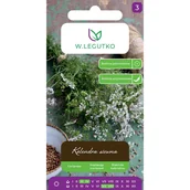 Nasiona i cebule - Kolendra siewna nasiona W.Legutko - miniaturka - grafika 1