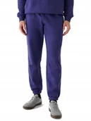 Dresy męskie - Męskie spodnie dresowe 4F TROM1140 031S 3XL - miniaturka - grafika 1