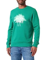 Bluzy męskie - JACK & JONES Męska bluza Jcosalty Sweat Crew Neck FST, Verdant Green, L - miniaturka - grafika 1