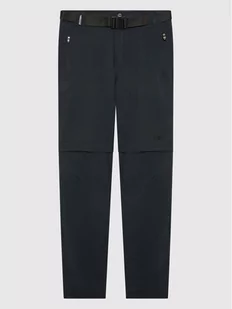 CMP Spodnie outdoor 3T51644 Szary Regular Fit - Skarpetki dla dzieci - miniaturka - grafika 1