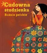 Powieści i opowiadania - Media Rodzina Cudowna studzienka - Media Rodzina - miniaturka - grafika 1