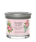 Świece - Yankee Candle Desert Blooms Signature Tumbler Świeca zapachowa 122 g - miniaturka - grafika 1