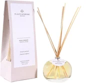 Zapachy do domu - PLANTES&PARFUMS PROVENCE Dyfuzor zapachowy - Oriental Wood  - Orientalne Drewno - 100ml 070437 - miniaturka - grafika 1