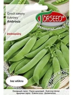 Nasiona i cebule - GROCH CUKROWY AMBROSIA PLENNY ZBIÓR po 65 dniach TORSEED - miniaturka - grafika 1