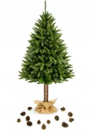 Choinki - Choinka sztuczna Świerk syberyjski na pniu, 220 cm - miniaturka - grafika 1