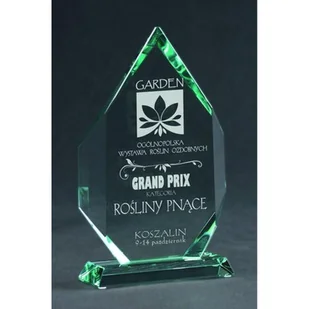 Trofeum szklane grawerowane z etui - Gadżety dla kibiców - miniaturka - grafika 1