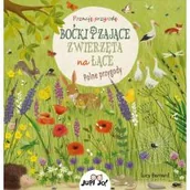 Powieści i opowiadania - Boćki i zające. Zwierzęta na łące. Polne przygody - miniaturka - grafika 1