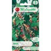 Nasiona i cebule - Legutko Mina czerwono żółta 0,5g st - miniaturka - grafika 1