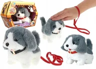 Zabawki zręcznościowe - GAZELO piesek chodzący na smyczy G204914 - miniaturka - grafika 1