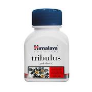 Witaminy i minerały dla sportowców - Himalaya Tribulus - 60caps. - miniaturka - grafika 1